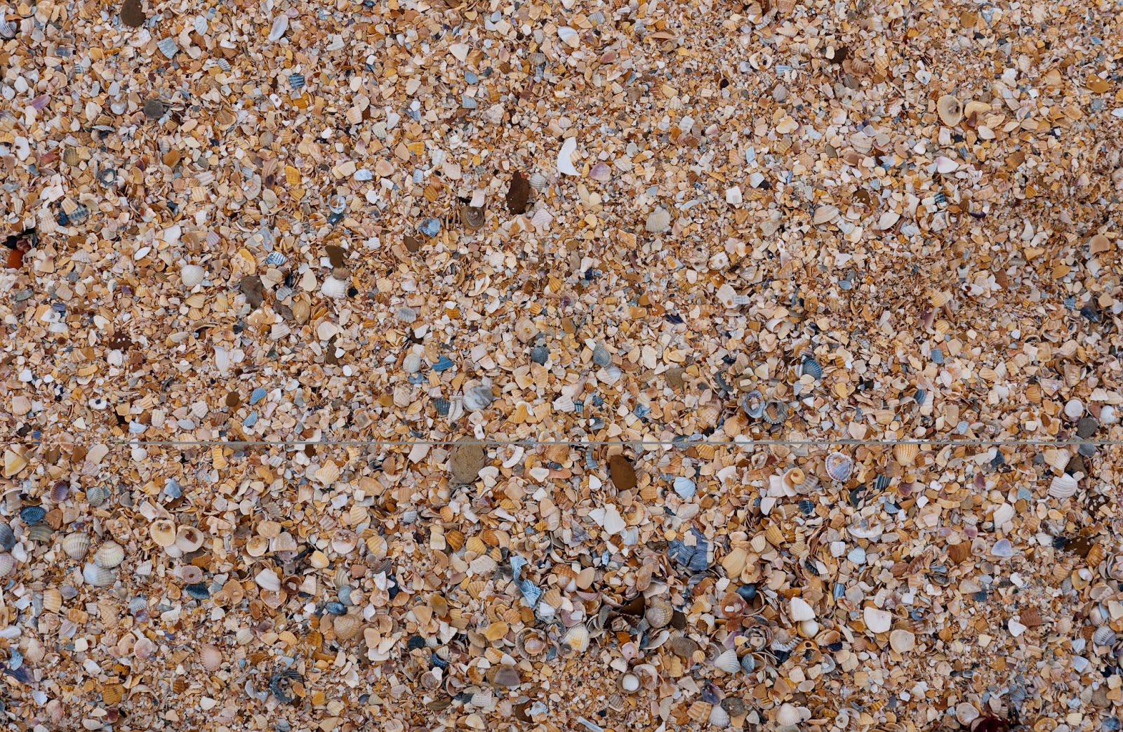 Обычный пляж Азовского моря.