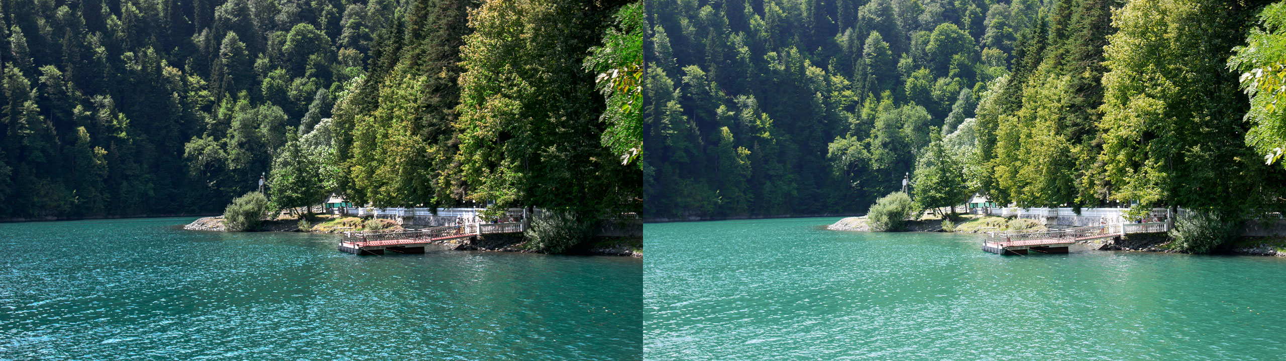 Озеро "Рица". В левой части RAW файл обработанный PPW, в правой JPG из камеры.