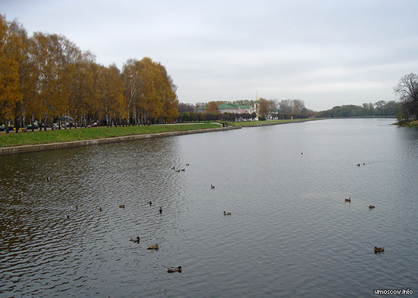 Pond in front of the manor (Пруд перед поместьем)