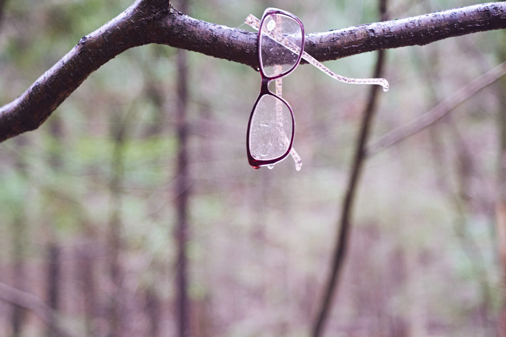 очки, лес, капля